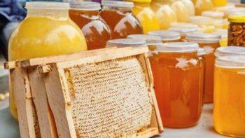 У Харківській області за безцінь скуповують мед у пасічників-бджолярів